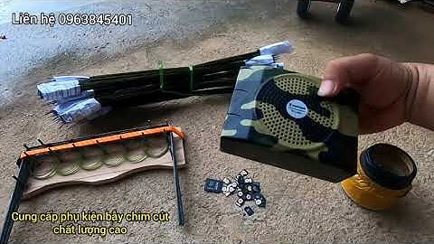 Dụng cụ bẫy chim cút và cút quýt