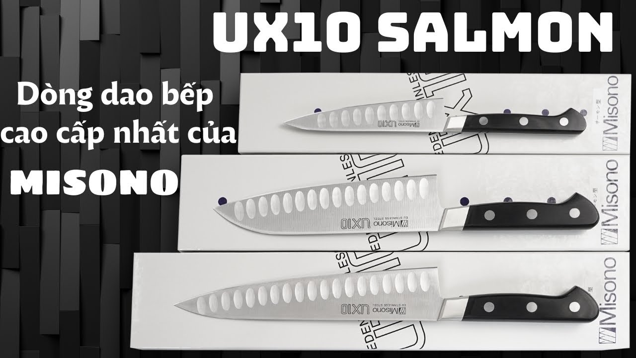 Misono UX10 Salmon Gyuto 210mm