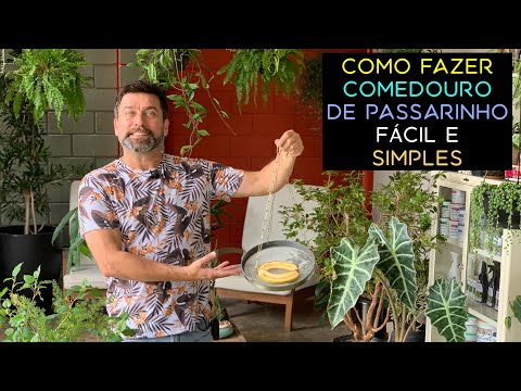 Vídeo: Como Fazer Um Comedouro De Papelão Para Pássaros