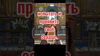 Как проверить себя. Отопление храма #проповедь #духовнаяжизнь #shorts