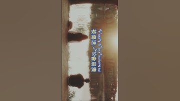 Thumbnail of 主動久了也會累🎵 #翻唱 #新歌更新 #抖音 #必听热门歌曲 #音樂 #抒情小曲集 #音乐 #大陸歌 #分享 #歌手單曲#mandarin #song #music #trend #cover