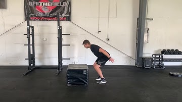 Drop Pause Box Jump