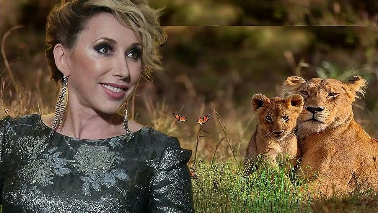 Дикая львица автор. Львица охотится. Дикая львица alex & rus. Воробей дикая львица. Воробей дикая львица.