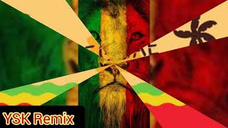 Wayne Marshall : We are all that (YSK Remix reggae)