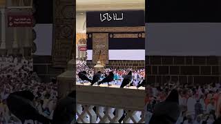 #live #vlog #yaali #love