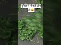 दुनिया में तीन ही लोग हैं #funnyvideo #food #youtubeshorts