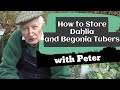 How to Store Dahlia and Begonia Tubers | Garden Ideas | Peter Seabrook