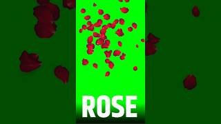 Rose Green Screen 🌹 #chromaeffect #greenscreen