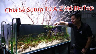 Setup A Aquarium Biotop Tanks-Chia Sẻ Về Setup Hồ Biotop