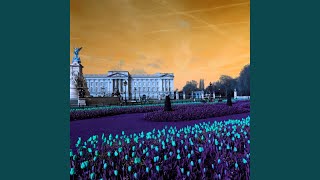 Alluring Ambience for Mellow Overtone