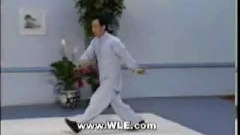 Sun Style Tai Chi Sword #19 WLE.com