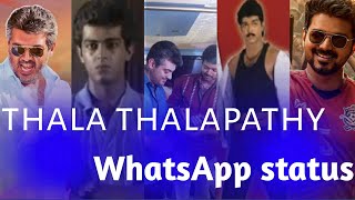 Thala Thalapathy Whatsapp Status 😎sullan songs whatsapp status🔥tamil whatsapp status video🔥mp yuvann
