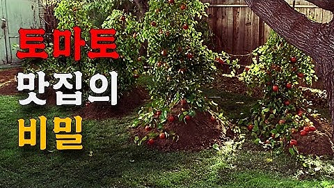 정말 기상천외하고 독특한 스릴러인데 아마 대부분 못 봤을 거 같아서