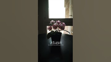 قراءة القرآن الكريم انشر المقطع اجر لي ولكم #يوم_الجمعة #صلاة_الجمعة #الجمعة #القرآن_الكريم #quran