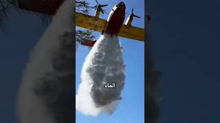 Why do they use this red liquid instead of water on forest fires