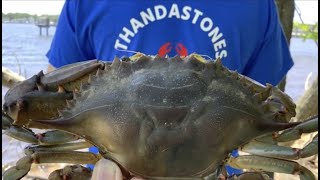 Crabbing New Jersey - Memorial Day Weekend 2023