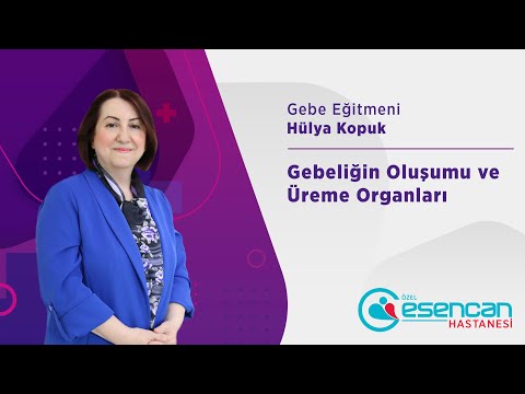 3.Bölüm Gebelikte Salgılanan Hormonlar ve Etkileri  | Özel Esencan Hastanesi