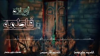 | أويلاه يا فاطمة | الرادود حسن عميص والرادود عباس فهدا | كلمات نجيب منذر | الليالي الفاطمية 1444