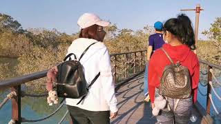 YOU MUST WATCH THIS VIDEO!! STUNNING JUBAIL MANGROVE PARK