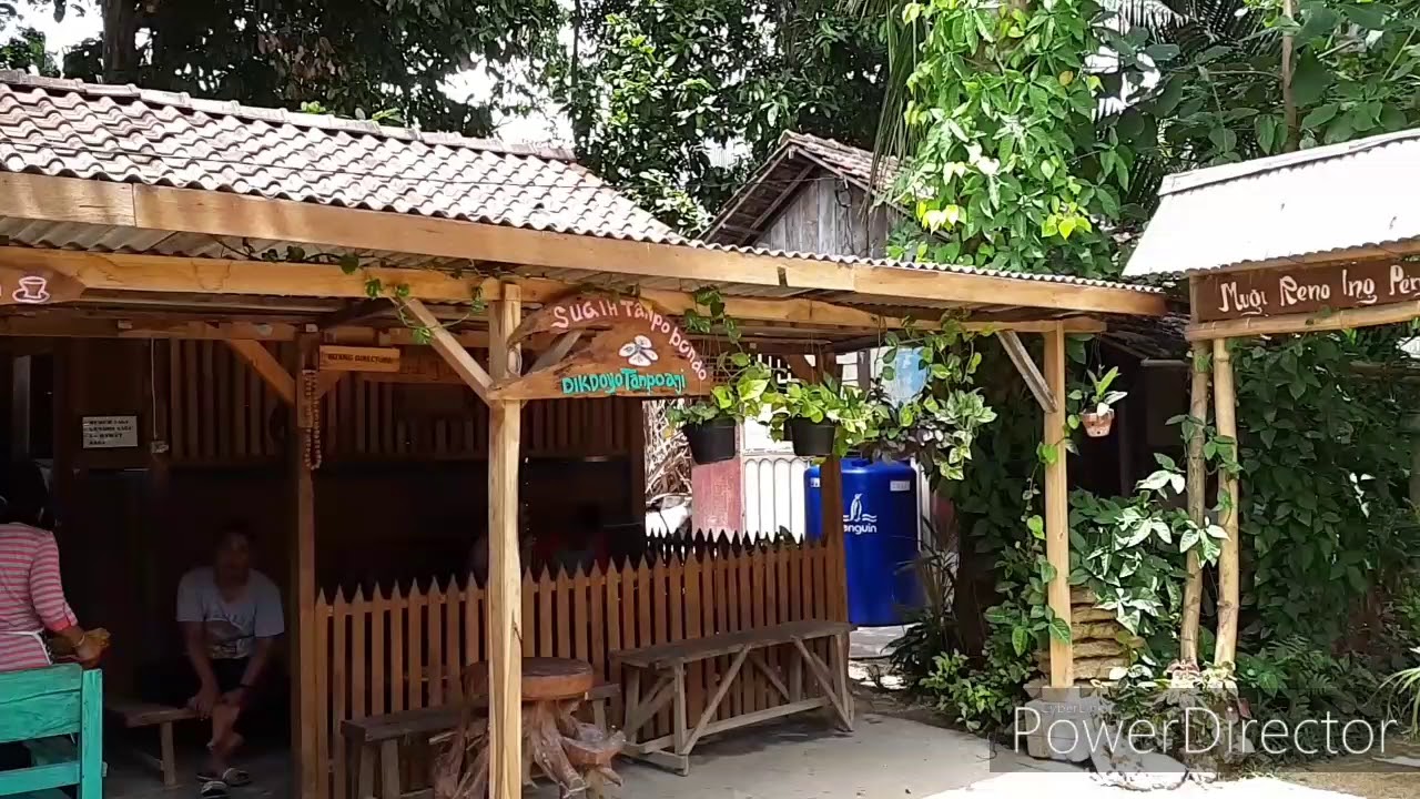 Wisata kebun sagu tuban jawa timur indonesia 