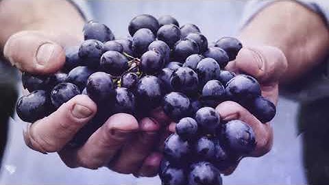 Elegant Slideshow | After Effects Video Displays - Envato elements