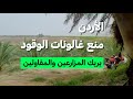 الأردن منع غالونات الوقود يربك المزارعين والمقاولين mp3