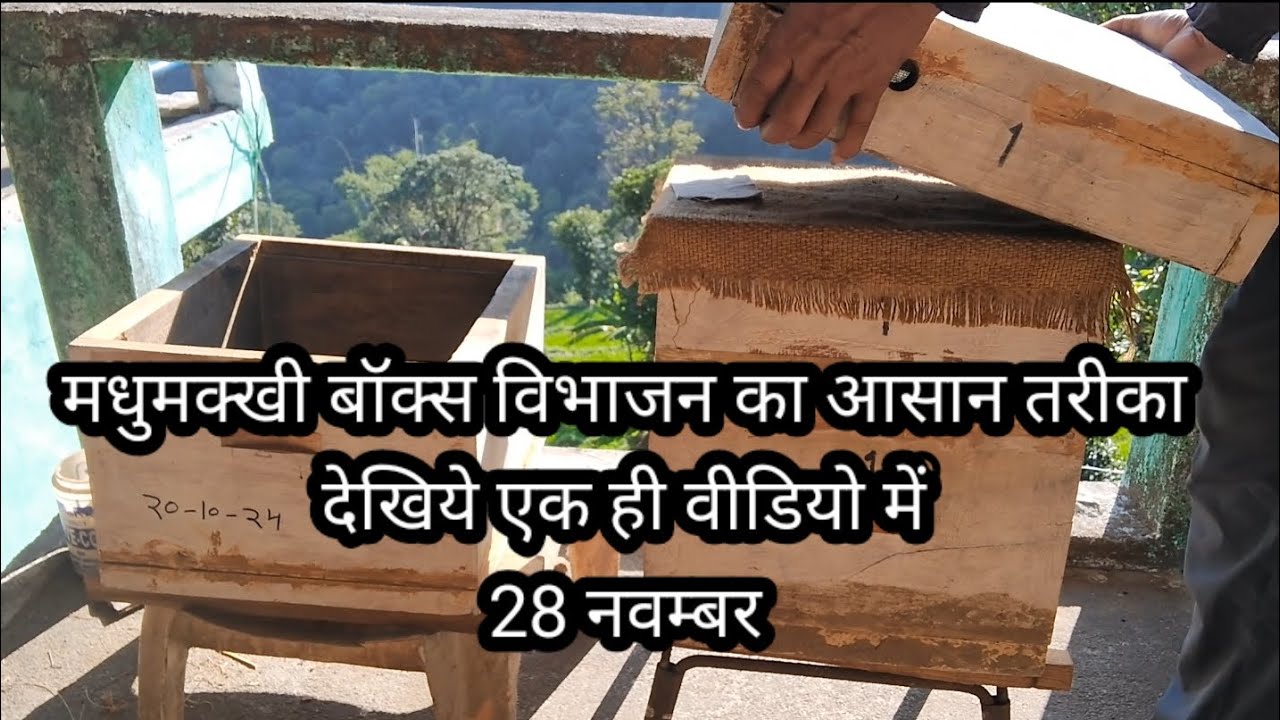 मधुमक्खी के बॉक्स का विभाजन करने का आसान तरीका