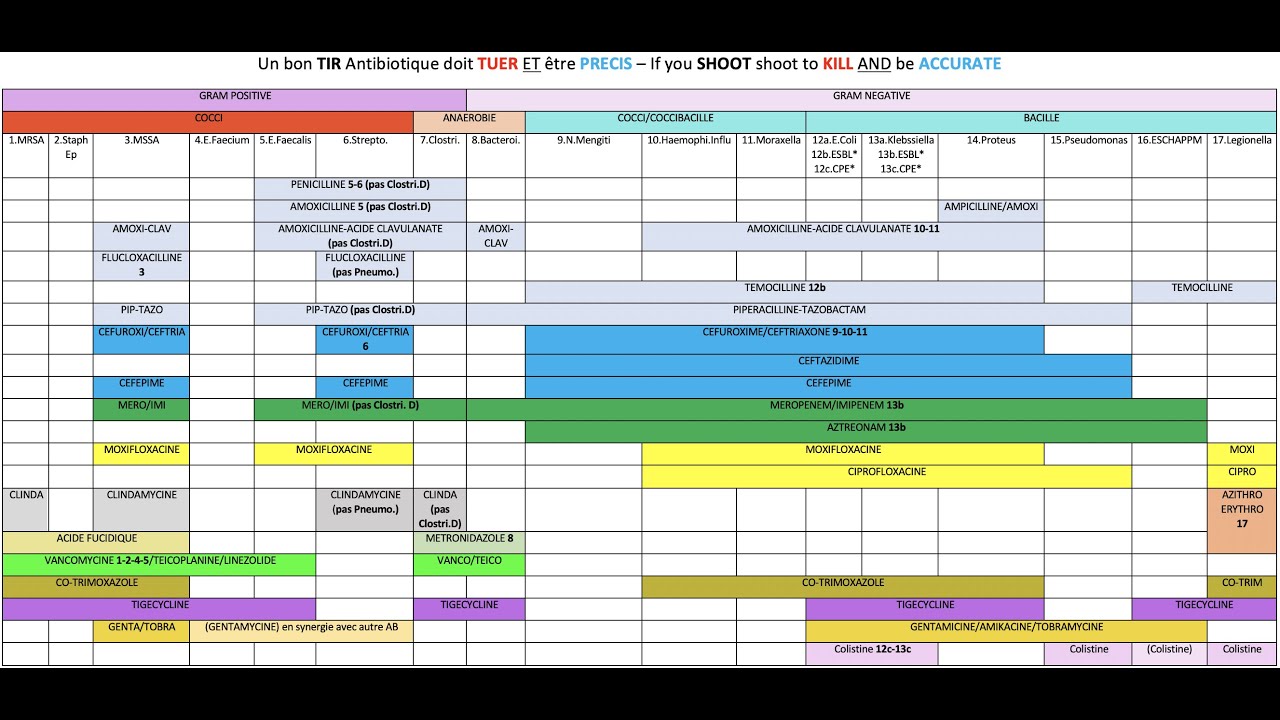 Les antibiotiques Ep 3 - Spectre d'activité des antibiotiques - Docteur Synapse