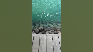 كتب ربكم على نفسه الرحمة... مقطع من سورة الأنعام بصوت @mbm3rb