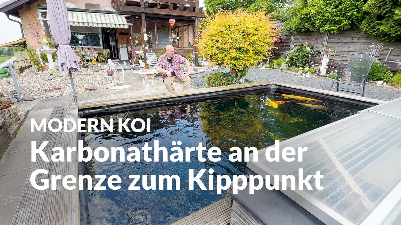 Eine Wasseranalyse an Ingos 25.000 l Teich | Modern Koi Blog #7525