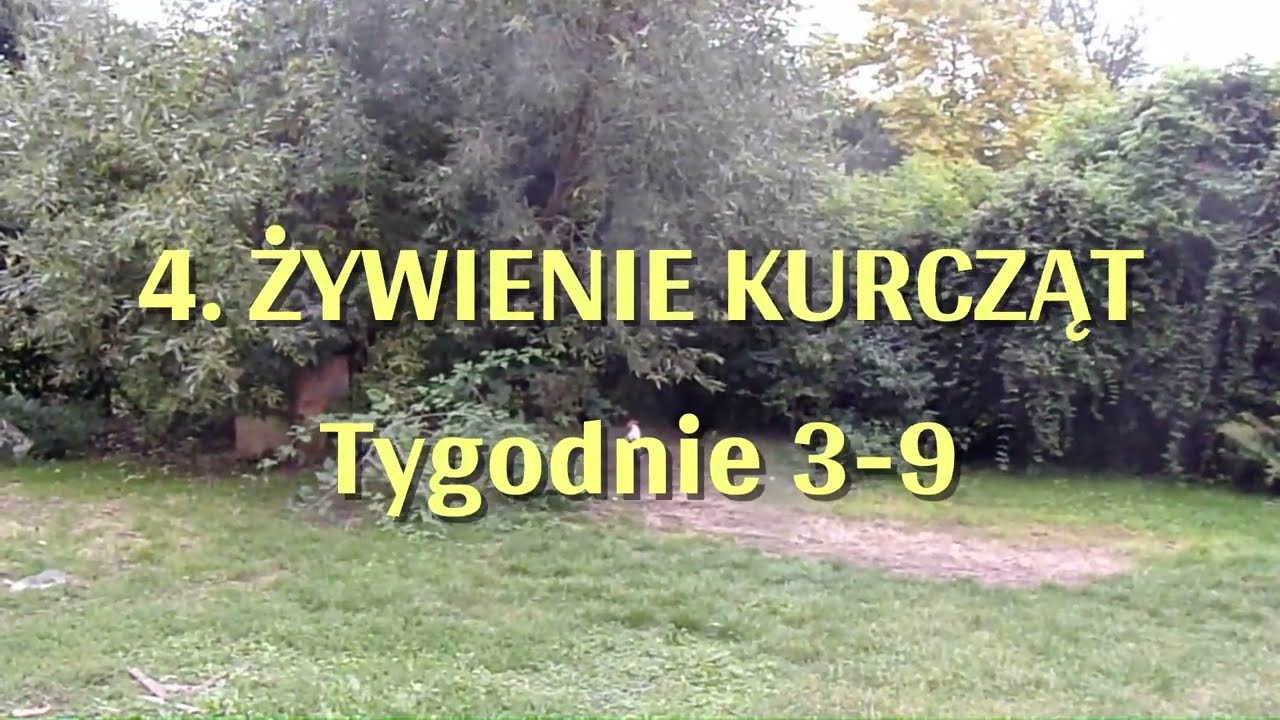 4. Żywienie kurcząt - Tygodnie 3-9