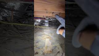 Sagging floors? #crawlspace #foundation