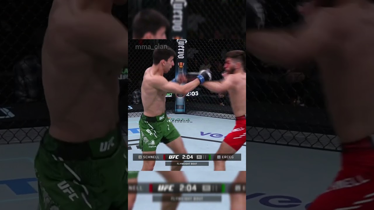 Стив Эргец vs Мэтт Шнелл 