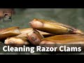 How To Clean A Razor Clam With ODFW Shellfish Biologist How To Clean A Razor Clam With ODFW Shellfish Biologist