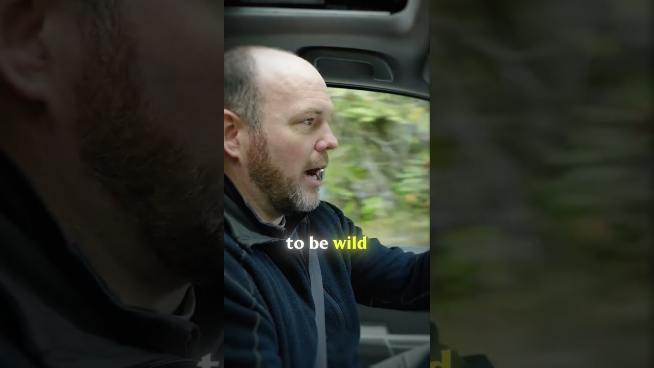 THIS Is BASICALLY Your Own National Park