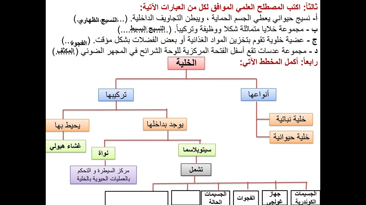 مناقشة أسئلة تقويم الوحدة الأولى علوم الصف السابعsouadtahan@
