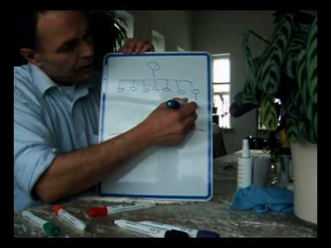MLM explanations: Binary and linear systems
