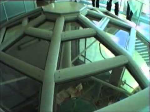Операция на сердце Амосов и Каган