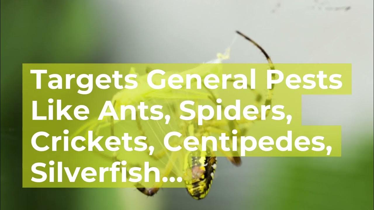 Commercial Quarterly Pest Control Arlington, VA PMSI YouTube