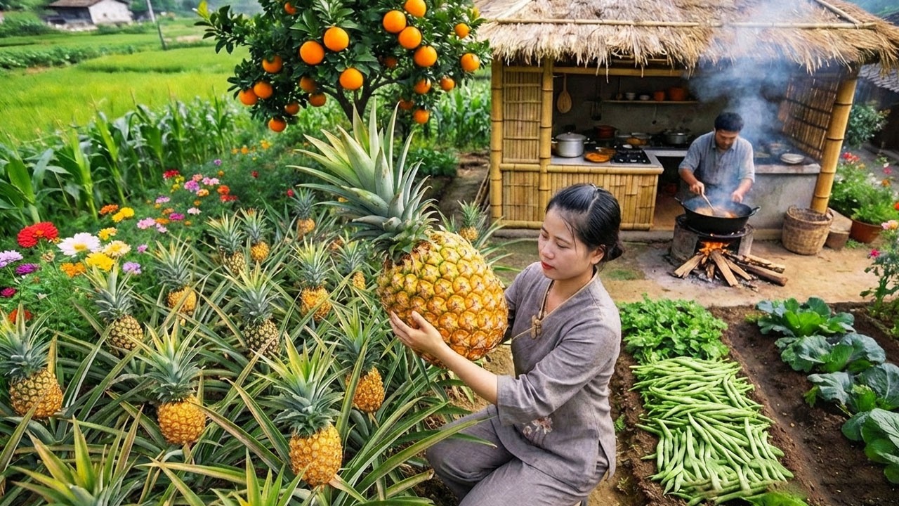 Country Life: Harvesting Pineapples in My Garden & Cooking Delicious Traditional Pineapple Dishes