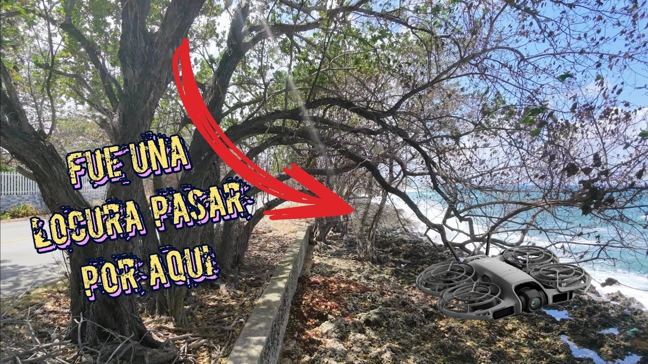 Dji neo 2 paso entre las ramas y el agua 