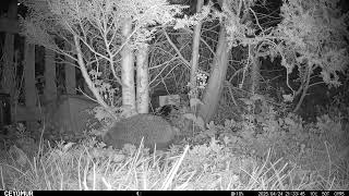 24042025 Vd 01004, Vd 01005, Vd 01006, Vd 01007, Vd 01008, Vd 01009, Vd 01010