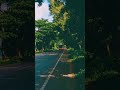 #foryou #gaming #crazy_bus_lover_bsbd #buslover #foryou