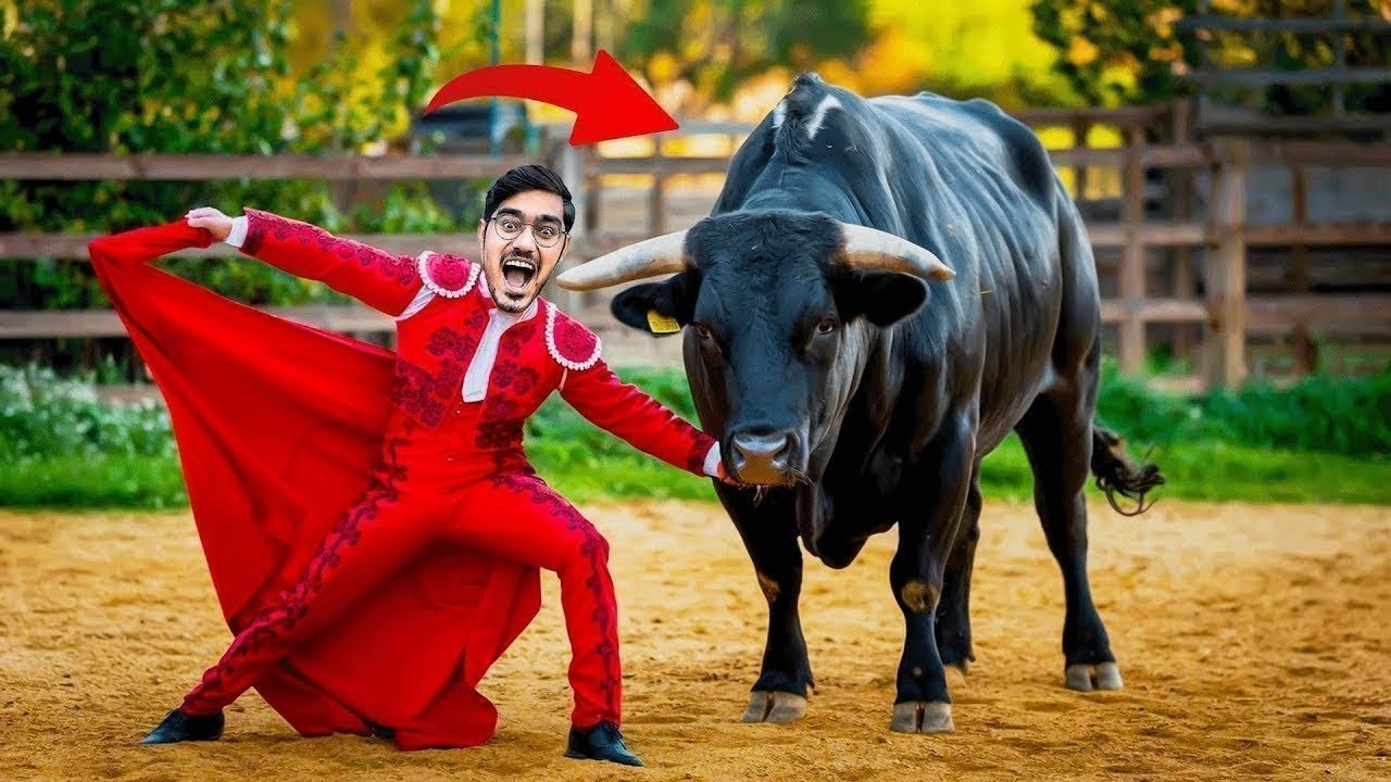 Will The Bull Attack Me सांड को लाल कपड़ा दिखाने पे क्या होगा 10 Myths in Real Life