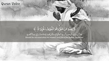 Surah Al Mulk سورة الملك - Hothaifa Kaeed حذيفة الكعيد - Quran Voice