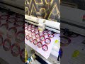 Contour cutting with Yinghe 2 Feet plotter