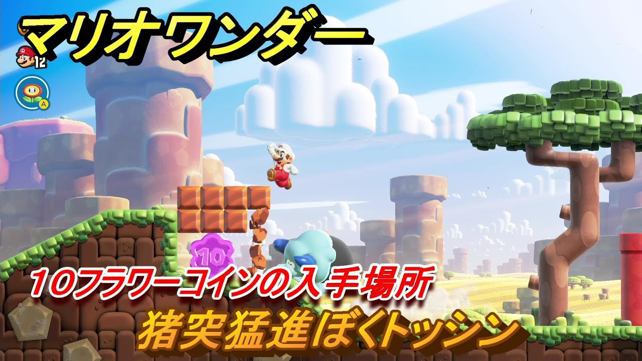 マリオワンダー 猪突猛進ぼくトッシン 10フラワーコインの入手場所