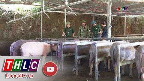 Gương điển hình tiên tiến (18/01/2020) | THLC