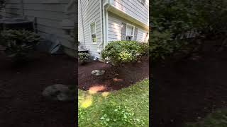 Brown mulch