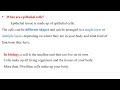 Animal Histology Cells & Tissues Lecture 5